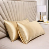 100% Natural Mulberry Silk Pillow Case